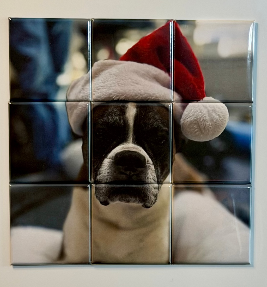 Puzzle – 1 Photo (9 Magnet Set)