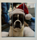 Puzzle – 1 Photo (9 Magnet Set)